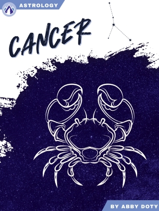 Imagen de portada: Cancer 1st edition 9798892507820