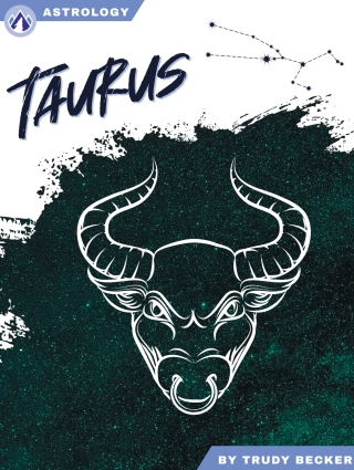 Imagen de portada: Taurus 1st edition 9798892507905