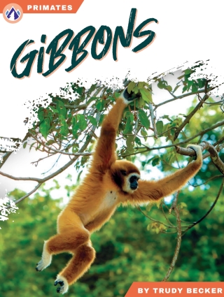Imagen de portada: Gibbons 1st edition 9798892507950