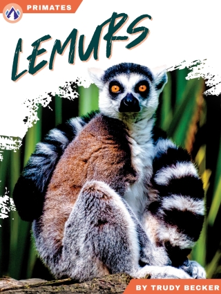 Imagen de portada: Lemurs 1st edition 9798892507967