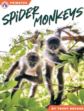 Immagine di copertina: Spider Monkeys 1st edition 9798892507998