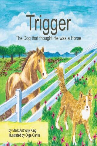 表紙画像: Trigger 9798893091281