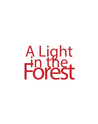 表紙画像: A Light in the Forest 9798893091878