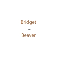 Titelbild: Bridget the Beaver 9798893092592