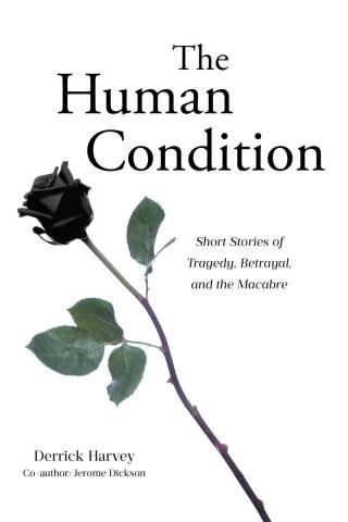 Imagen de portada: The Human Condition 9798893150025