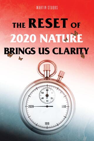 Imagen de portada: The Reset Of 2020 9798893158212