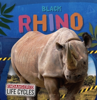 Cover image: Black Rhino 1st edition 9798893593082
