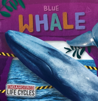 Imagen de portada: Blue Whale 1st edition 9798893593099