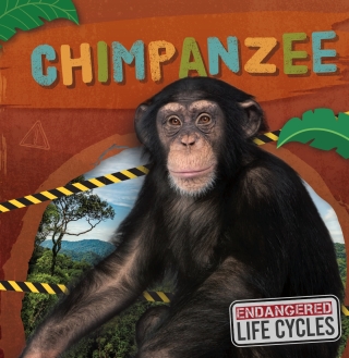 Cover image: Chimpanzee 1st edition 9798893593105