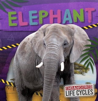 Cover image: Elephant 1st edition 9798893593112