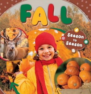 Immagine di copertina: Fall 1st edition 9798893594324