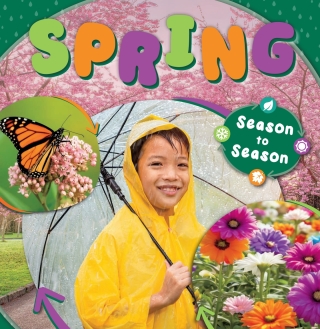 Imagen de portada: Spring 1st edition 9798893594331
