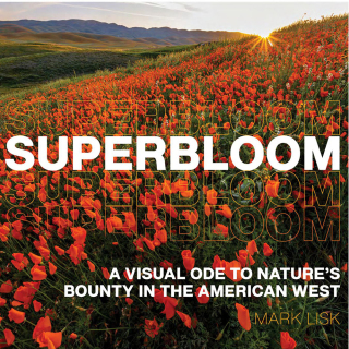 Imagen de portada: Superbloom 9798893960228