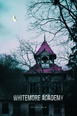 Cover image: Whitemore Academy 9798894271606