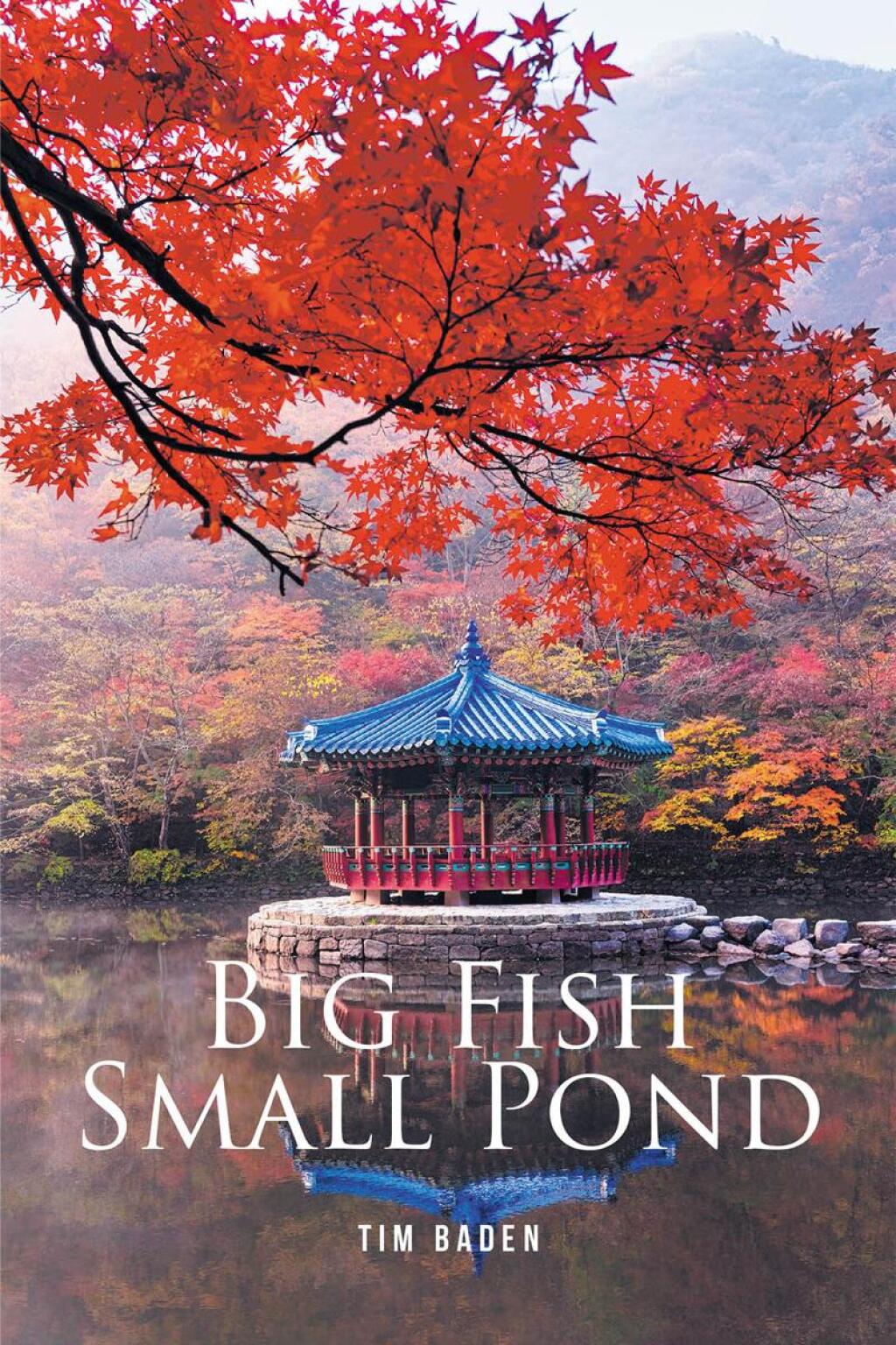 Big Fish Small Pond eBook