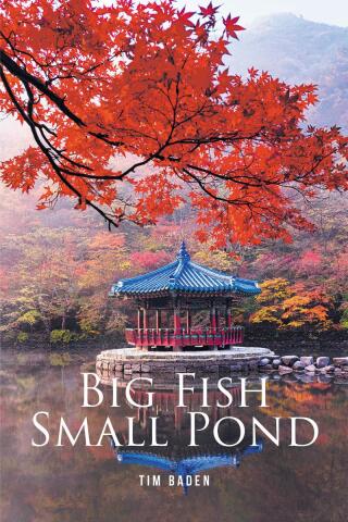 Cover image: Big Fish Small Pond 9798894274928