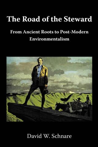 Cover image: The Road of the Steward 9798894277417