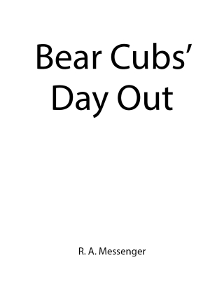 Imagen de portada: Bear Cubs' Day Out 9798894278421