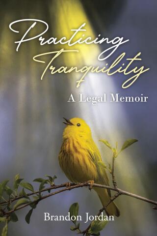 Cover image: Practicing Tranquility 9798894285252