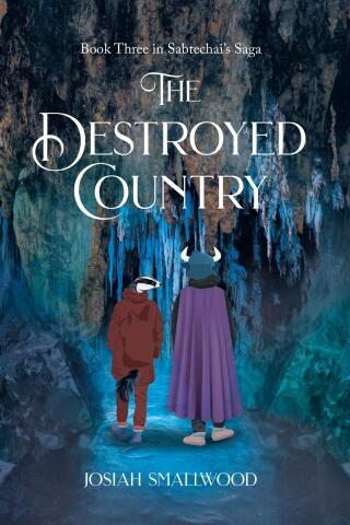 Cover image: THE DESTROYED COUNTRY 9798895268551