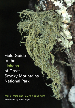 Field Guide to the Lichens of Great Smoky Mountains National Park 1st ...
