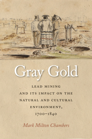 Cover image: Gray Gold 1st edition 9781621906988