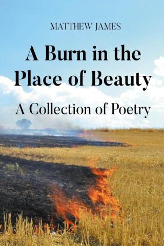 Cover image: A Burn in the Place of Beauty: A Collection of Poetry 9798896171355