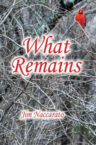 Titelbild: What Remains 9798896171706