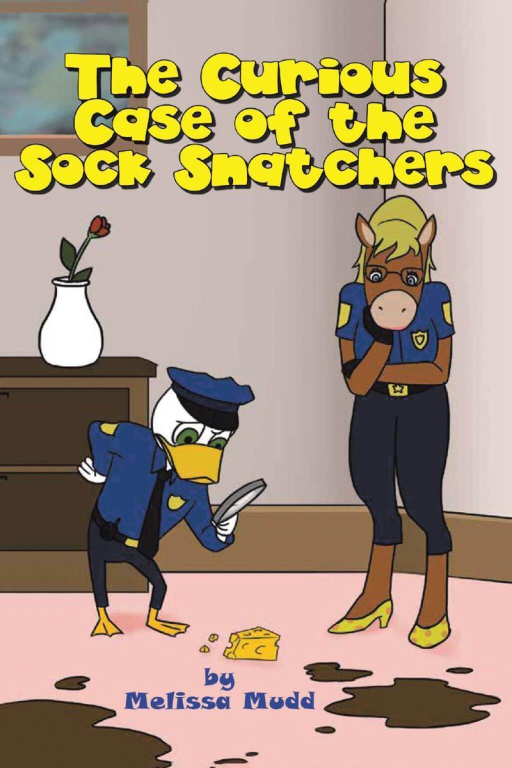 The Curious Case of the Sock Snatchers eBook