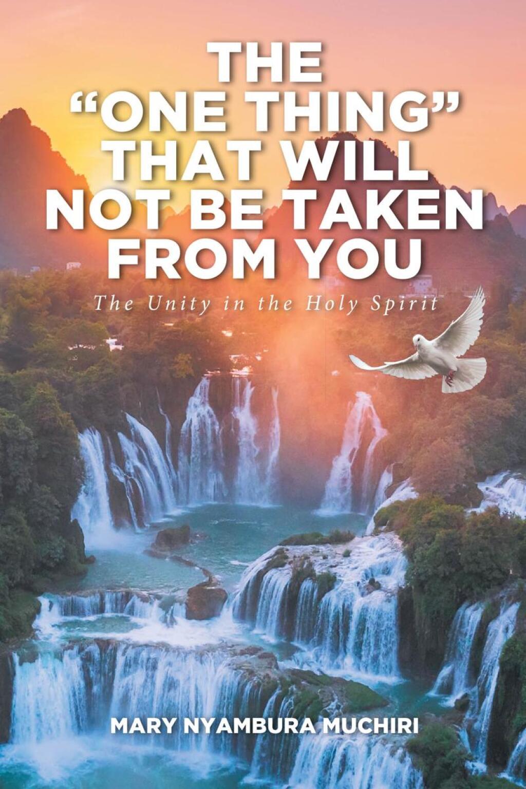 The  One Thing  That Will Not Be Taken from You eBook