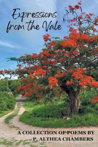 Cover image: Expressions from the Vale 9798896751106