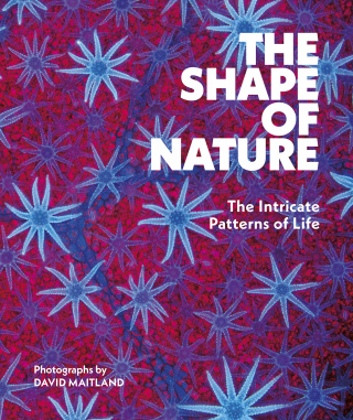 Cover image: The Shape of Nature 9781419779794