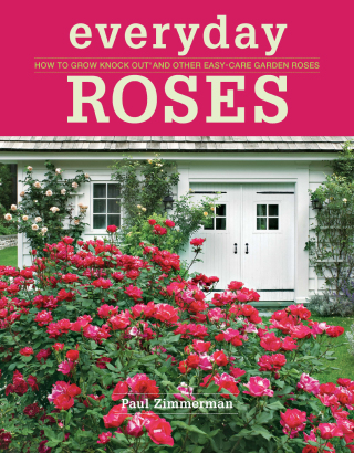 Imagen de portada: Everyday Roses 9781600857782
