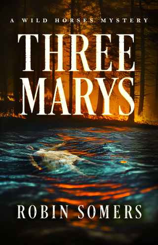 Imagen de portada: Three Marys 9798897400102