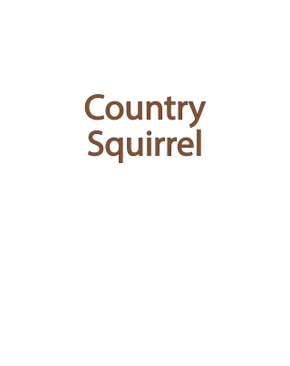 Imagen de portada: Country Squirrel 9798897636860