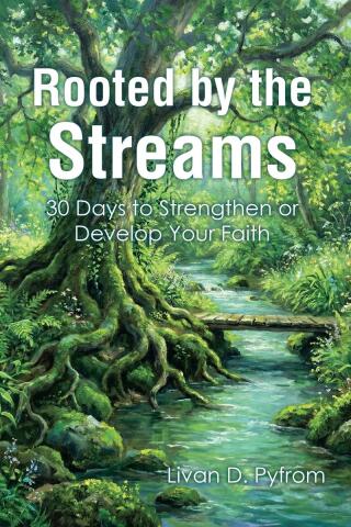 Imagen de portada: Rooted by the Streams 9798898386924