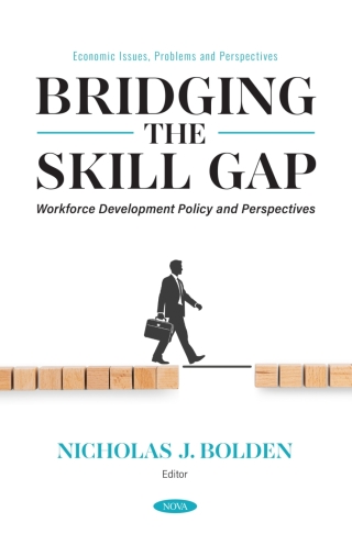 Imagen de portada: Bridging the Skill Gap: Workforce Development Policy and Perspectives 9798901341032
