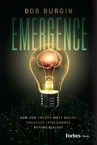 Cover image: Emergence
