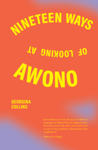 Cover image: Nineteen Ways of Looking at Awono 9798987291450