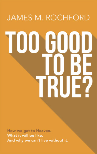 Cover image: Too Good to Be True 9798988558620