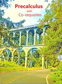 Cover image: Precalculus with Co-requisites Video eBook 1st edition AA4E20191621JA