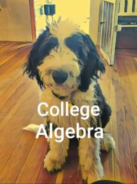 Cover image: College Algebra Video eBook 1st edition AA4E20197494JA