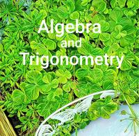 Cover image: Algebra and Trigonometry Video eBook 1st edition AA4E20198545JA