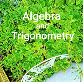 Cover image: Algebra and Trigonometry Video eBook 1st edition AA4E20198545JA