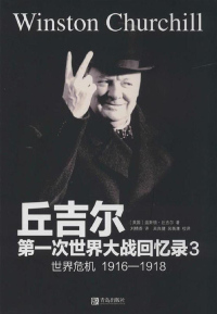 Cover image: 第一次世界大战回忆录3：世界危机1916—1918 1st edition 9787543678262