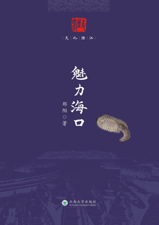 Cover image: 魅力海口 1st edition 9787548238713