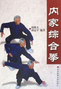 Cover image: 内家综合拳  The Interal Synthetic Routines 1st edition 9787811009040