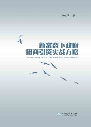 Imagen de portada: 新常态下政府招商引资实战方略 1st edition 9787548228608