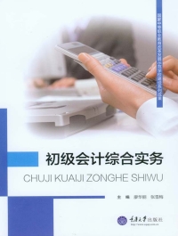 Omslagafbeelding: 初级会计综合实务 1st edition 9787562489443