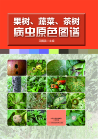 表紙画像: 果树、蔬菜、茶树病虫原色图谱 1st edition 9787534978555